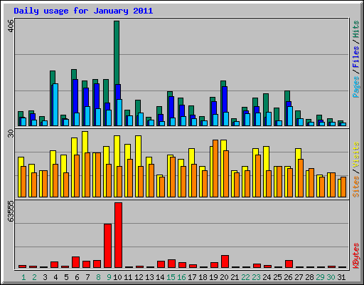 Daily usage for January 2011